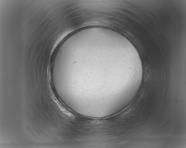 X0000076060796200610201947