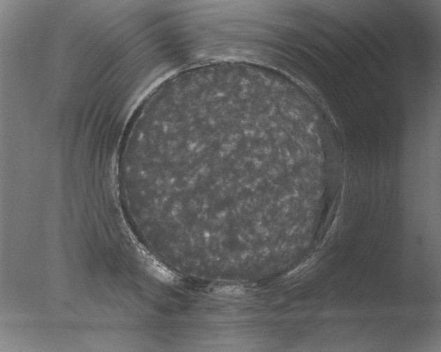 X0000076060798200610201947