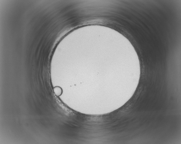 X0000076060800200610201947