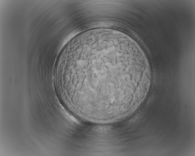 X0000076060802200610201946