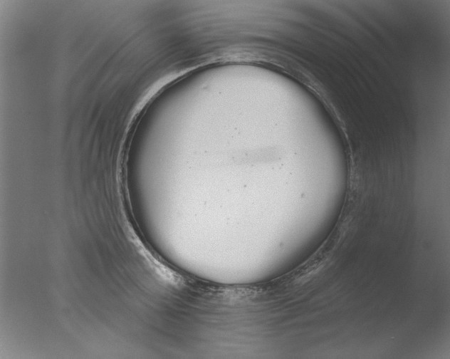 X0000076060803200610201946