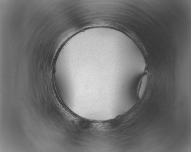 X0000076060805200610201946