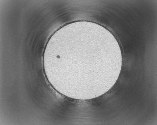 X0000076060807200610201946