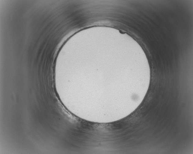 X0000076060808200610201946