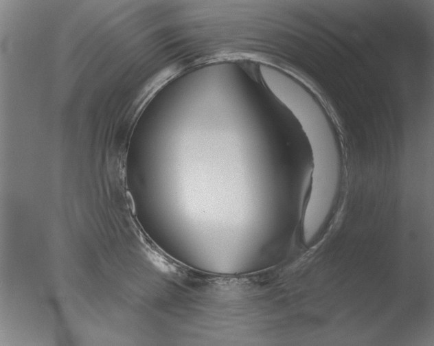 X0000076060809200610201946