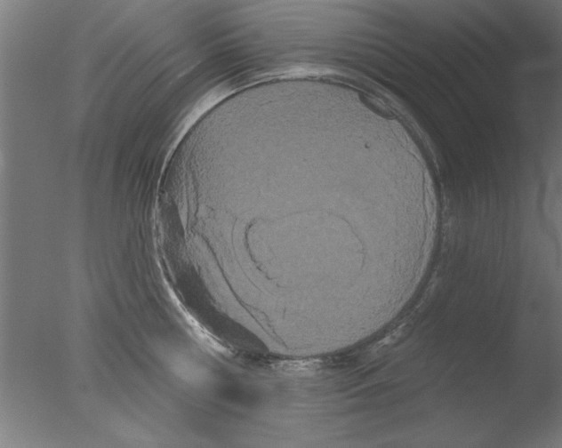 X0000076060810200610201946