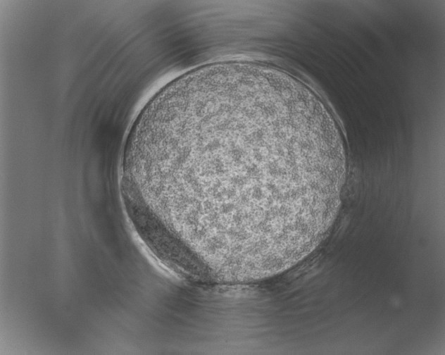 X0000076060811200610201946