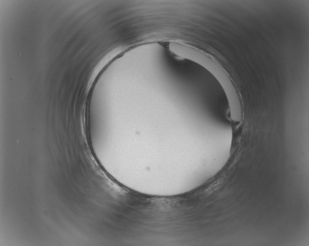 X0000076060812200610201946