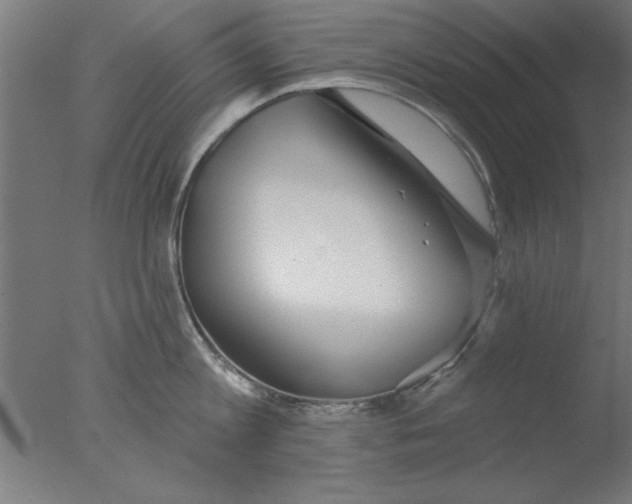 X0000076060813200610201946