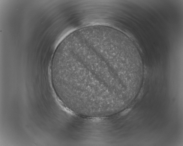 X0000076060814200610201946