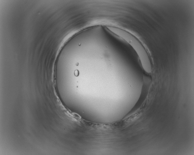 X0000076060815200610201946