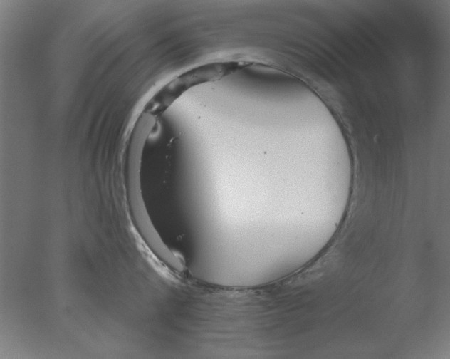 X0000076060816200610201946