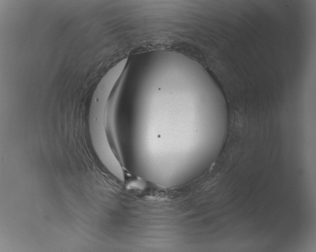 X0000076060818200610201945