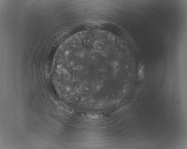 X0000076060819200610201945