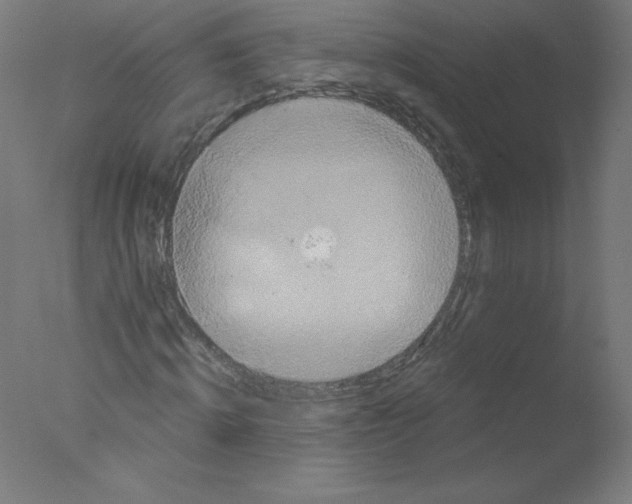 X0000076060820200610201946