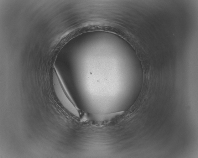 X0000076060822200610201946