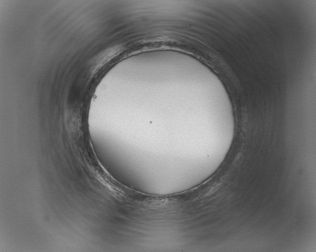 X0000076060826200610201946