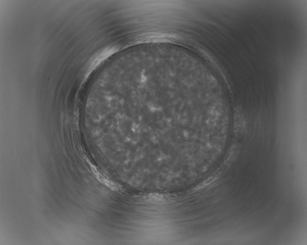 X0000076060827200610201946