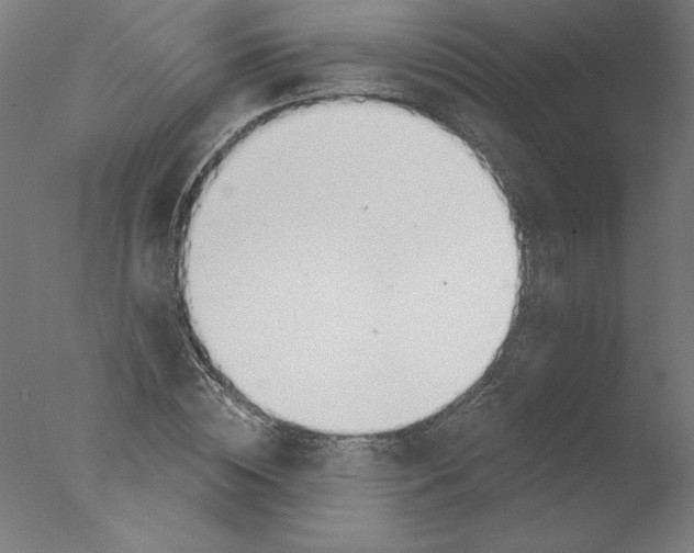 X0000076060828200610201946