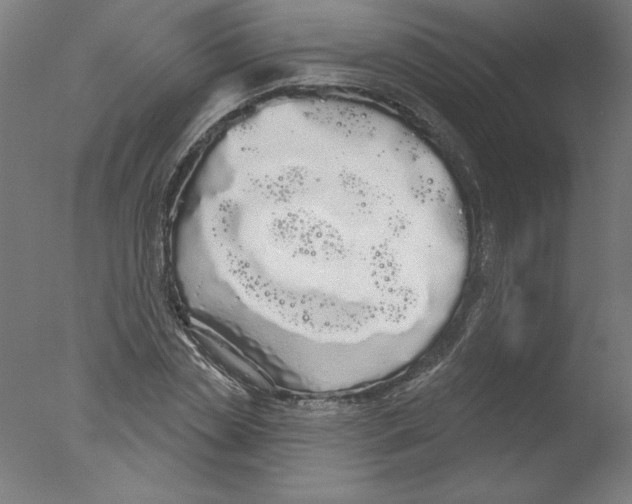 X0000076060829200610201946