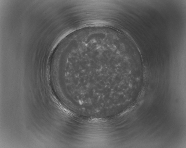 X0000076060835200610201946