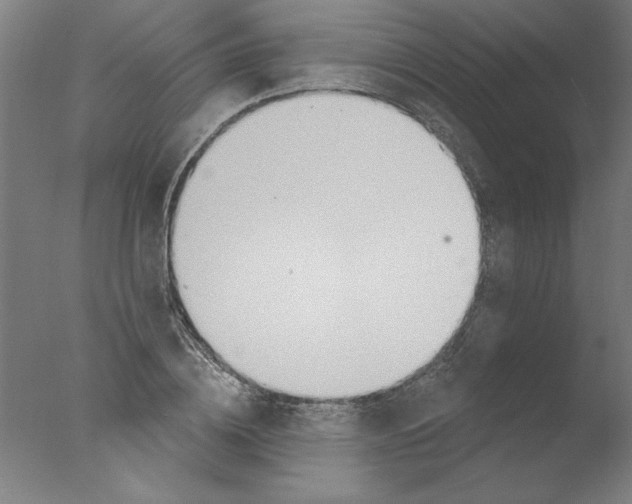 X0000076060836200610201946