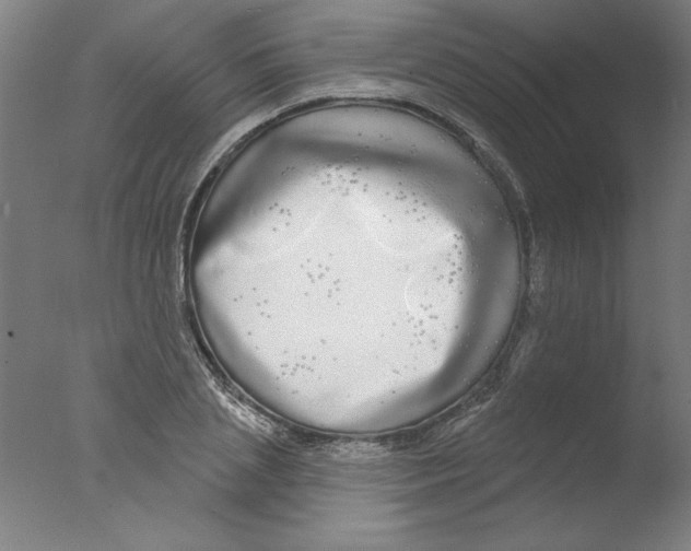 X0000076060837200610201946