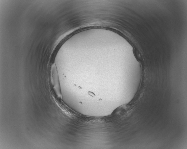 X0000076060838200610201946