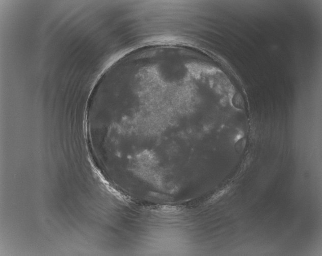 X0000076060839200610201946