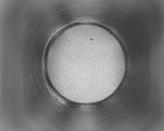 X0000076060840200610201946