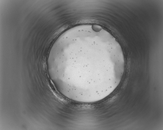 X0000076060841200610201946