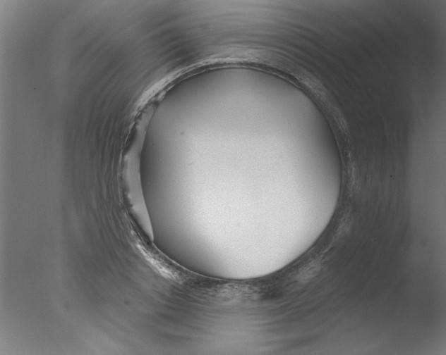 X0000076060842200610201946