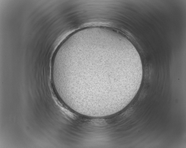 X0000076060844200610201946