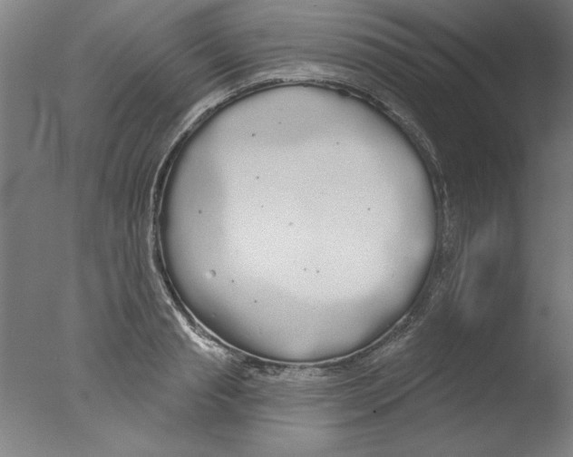 X0000076060845200610201946