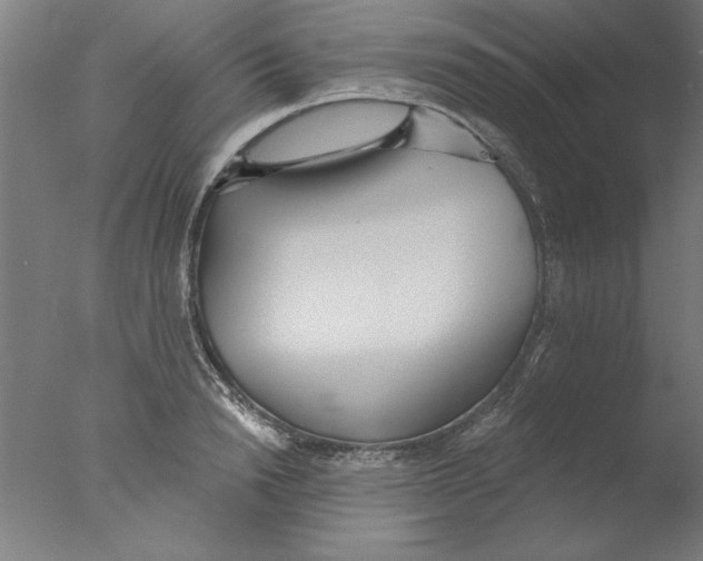 X0000076060846200610201946