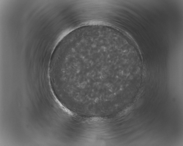 X0000076060847200610201946