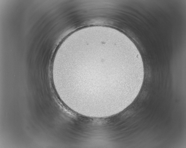 X0000076060848200610201946