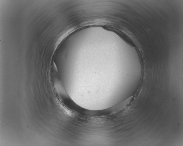 X0000076060850200610201946