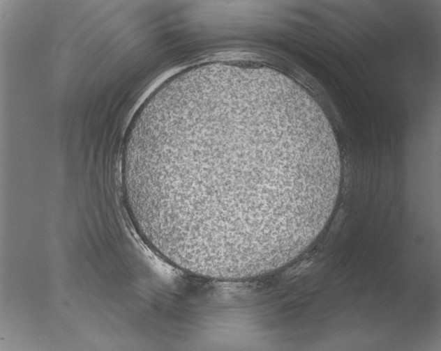 X0000076060852200610201946