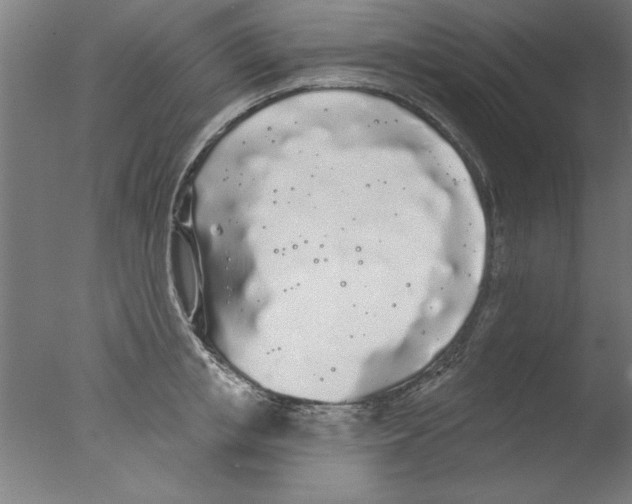 X0000076060853200610201946