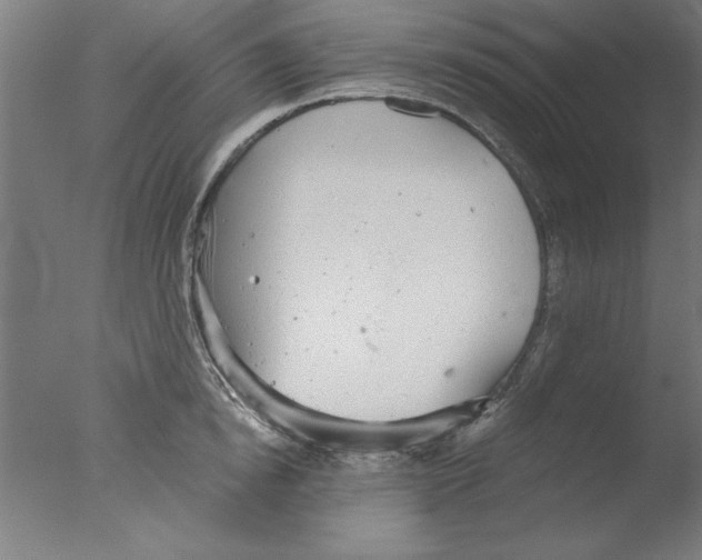 X0000076060854200610201946