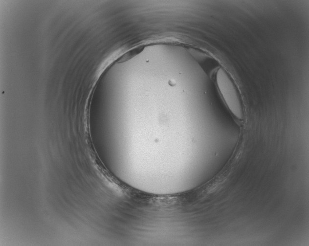 X0000076060858200610201946