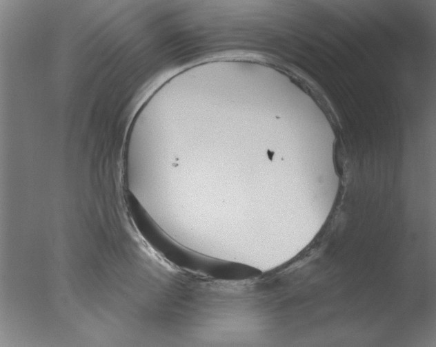 X0000076060860200610201946