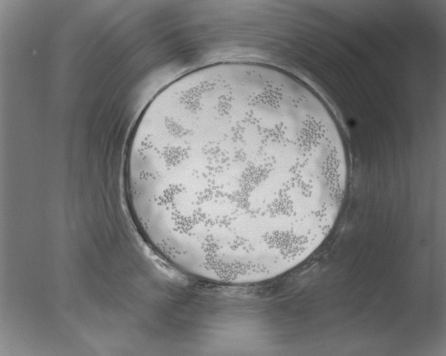 X0000076060861200610201946