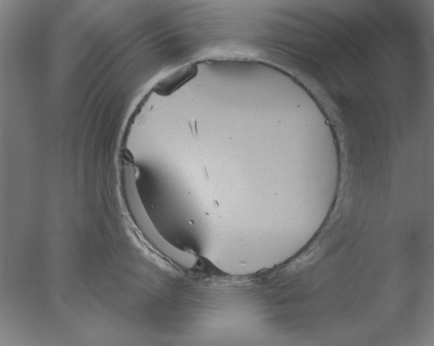 X0000076060864200610201946