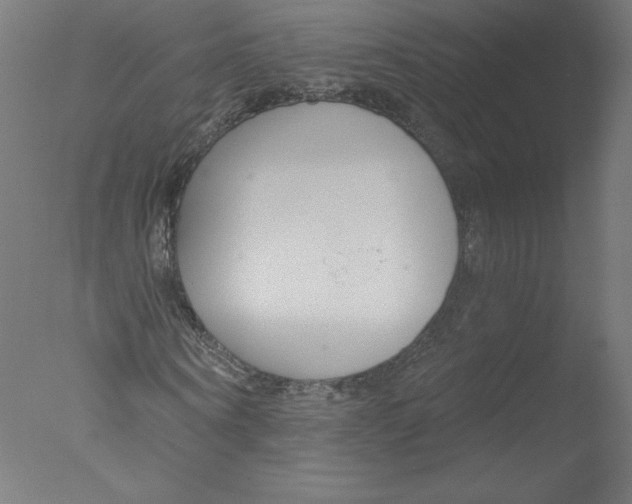 X0000076060866200610201945