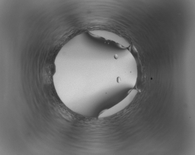 X0000076060868200610201945