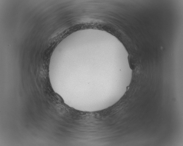 X0000076060869200610201945