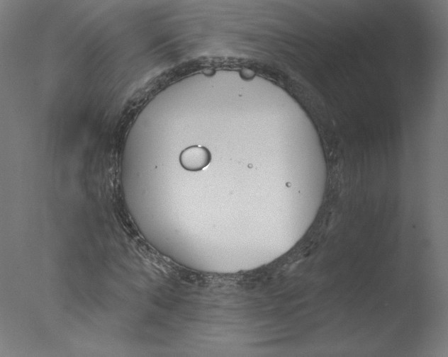 X0000076060870200610201945