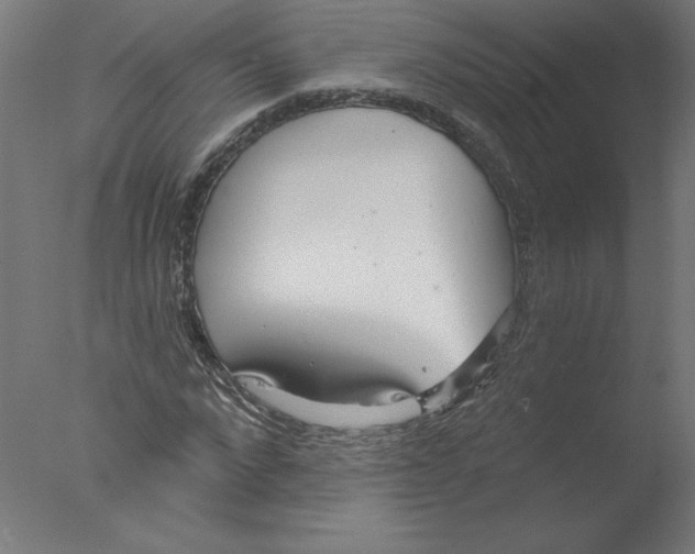 X0000076060872200610201945